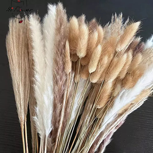 100pcs fluffy Pampas dried flowers bouquet home decor natural rabbit tail grass artificial flower