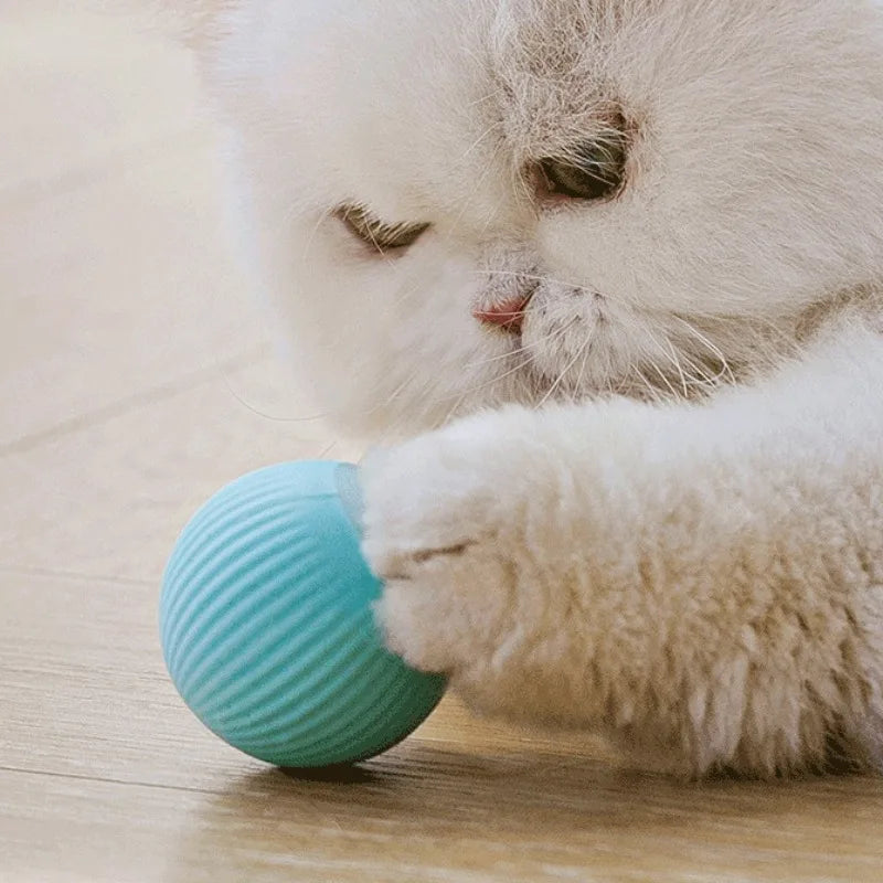Cat Ball Smart Interactive Toys - Himalaya Store