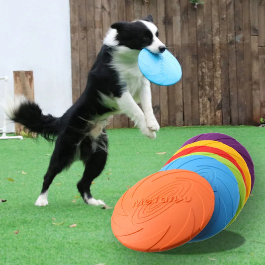 Flying Disc Toys For Dog Training Toys Outdoor Interactive - Himalaya Store